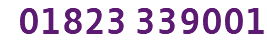 01823 339001